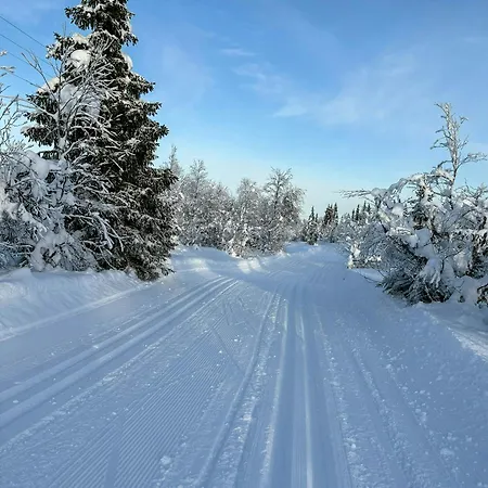By Trail With Panoramic Views In *